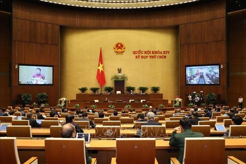 Thực hiện các Nghị quyết của Quốc hội về an ninh, trật tự, an toàn xã hội