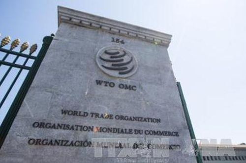 WTO bất đồng về lựa chọn nhà lãnh đạo tạm quyền