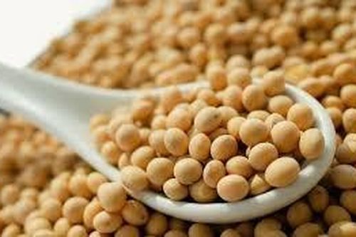 Những lợi ích bất ngờ từ đậu tương mà bạn nên biết