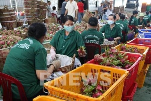 Tận dụng cơ hội từ EVFTA: Chủ động tạo giấy thông hành