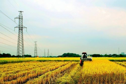 Xây dựng nông thôn mới ở Thái Nguyên: Hướng tới những thành tựu mới