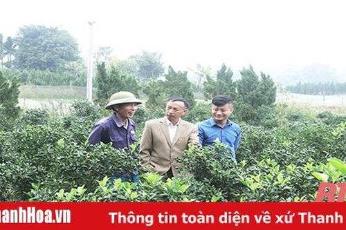 Xã Hợp lý chú trọng xây dựng vườn mẫu