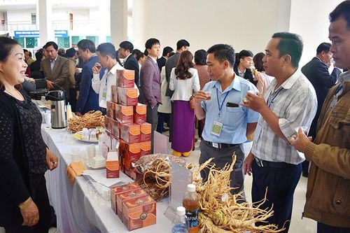Xây dựng chuỗi giá trị - cần thêm cơ chế thuận lợi