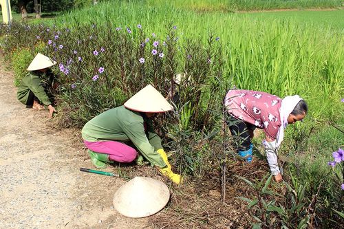'5 không 3 sạch' ở Xuân Viên