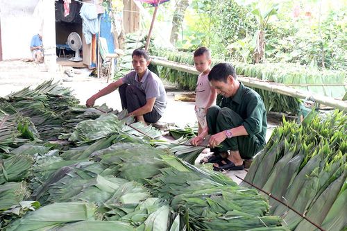 Thu nhập từ lá