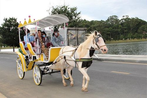 Khách hủy trên 16.000 phòng, Đà Lạt mất 19 tỷ đồng