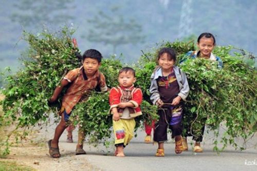 Đài Truyền hình Kỹ thuật số VTC ra mắt chương trình 'Trao cơ hội - nối ước mơ'