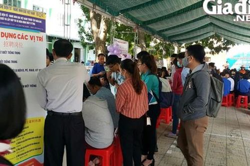Đồng Nai: Phát huy ý nghĩa thiết thực của Bảo hiểm thất nghiệp và tăng cường hoạt động kết nối việc làm