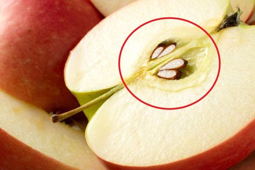 Ăn hạt táo lợi hay hại?