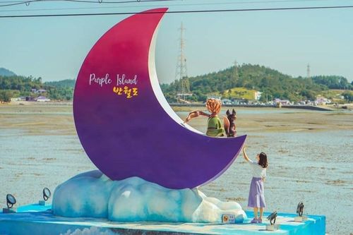 Hòn đảo ngập màu tím hút khách khám phá ở Hàn Quốc