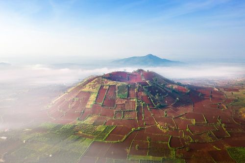 Những bức ảnh phong cảnh đẹp nhất năm 2020