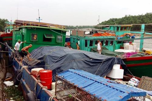 Hải Phòng cấm biển từ 18 giờ chiều 1-8