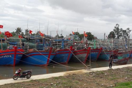 Thanh Hóa kêu gọi, hướng dẫn tàu thuyền cập bến tránh bão