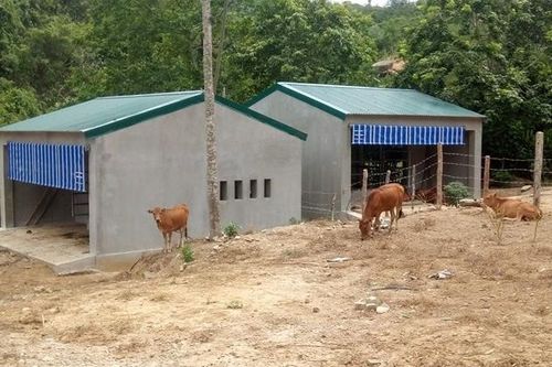 Khởi tố 4 bị can liên quan đề án về đồng bào dân tộc