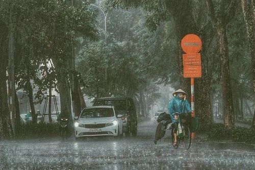 Dự báo thời tiết ngày và đêm nay (1/8): Mưa lớn bao phủ khắp cả nước, áp thấp nhiệt đới có khả năng mạnh lên thành bão