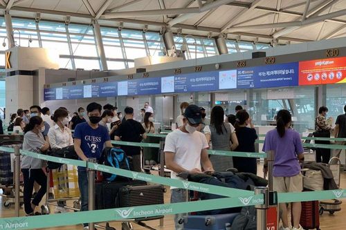 Covid-19: Hơn 230 công dân Việt Nam từ Hàn Quốc trở về nước an toàn