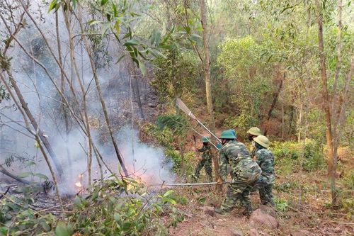 Đẩy mạnh ứng dụng thiết bị công nghệ cao trong phòng, chữa cháy rừng