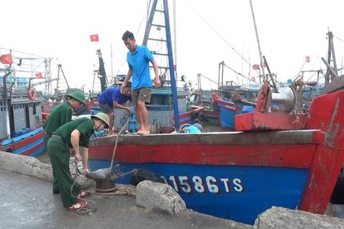 BĐBP Thanh Hóa hướng dẫn gần 7.000 phương tiện vào neo đậu an toàn