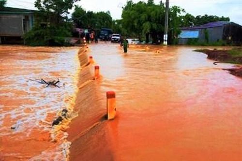 Đắk Lắk: 286 căn nhà, 800ha cây trồng bị nhấn chìm trong biển nước do mưa lớn