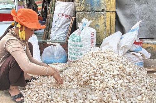 Cấp bảo hộ chỉ dẫn địa lý, nhãn hiệu chứng nhận, độc quyền - Thúc đẩy hoạt động sở hữu trí tuệ địa phương