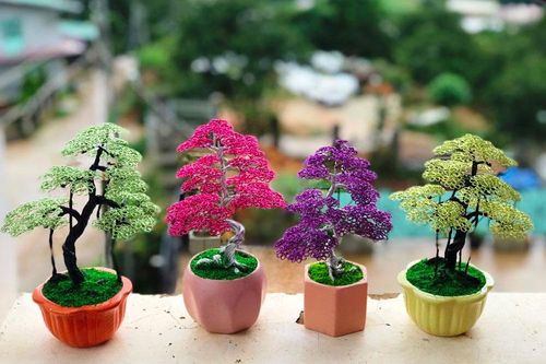 Độc đáo bonsai handmade