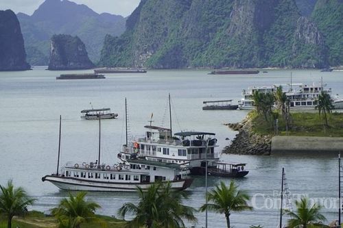 Quảng Ninh tạm cấm biển để chống bão Sinlaku