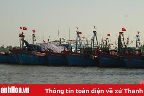 Toàn tỉnh Thanh Hóa còn 172 tàu cá hoạt động trên biển