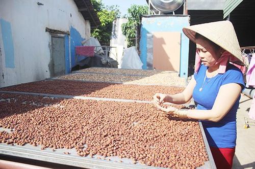 Làm đặc sản sạch từ thiên nhiên