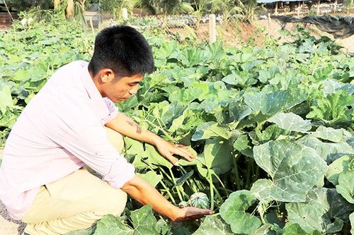 Để ''thuận tự nhiên'' bền vững