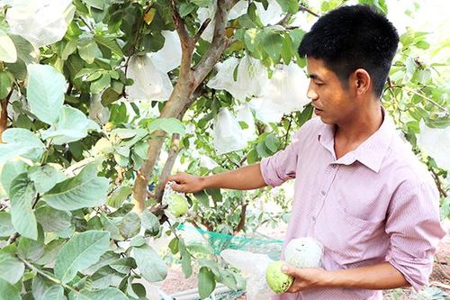 Nông nghiệp không… chất thải