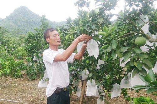 Sau những lớp dạy nghề