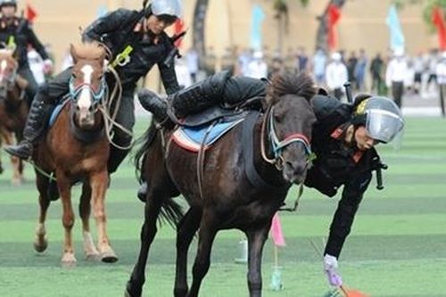 Mãn nhãn với màn phô diễn kỹ thuật điêu luyện của Cảnh sát cơ động Kỵ binh