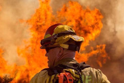 8.000 dân sơ tán khẩn cấp vì cháy rừng 'Apple Fire' ở California