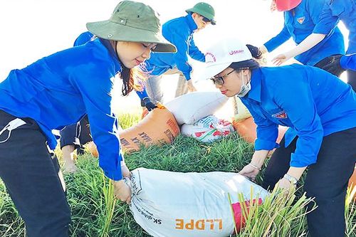 Quan tâm hơn nữa công tác chuẩn hóa cán bộ Đoàn