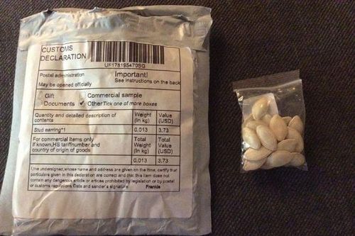 Nhiều người Nhật Bản nhận được các gói hạt giống bí ẩn từ Trung Quốc