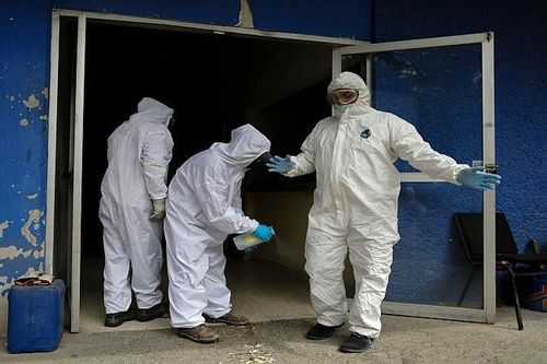 WHO: Đại dịch Covid-19 sẽ kéo dài, Nam Phi có nguy cơ suy kiệt khả năng ứng phó với dịch bệnh
