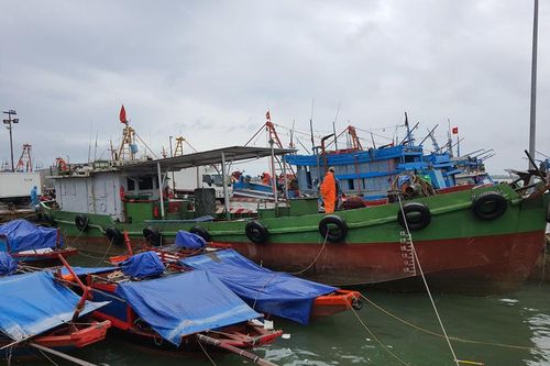 Nghệ An lên phương án di dời hơn 16 nghìn người để tránh bão số 2