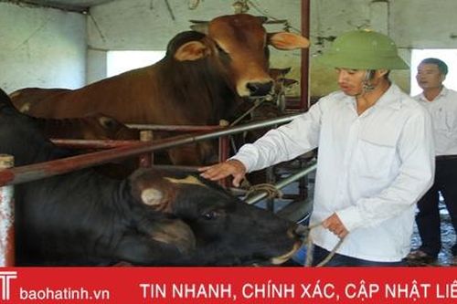 Giám đốc HTX doanh thu hơn 15 tỷ/năm ở Hà Tĩnh khởi nghiệp... từ 2 triệu đồng