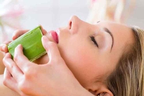 Cách sử dụng lô hội giúp cho cuộc sống của bạn dễ dàng hơn