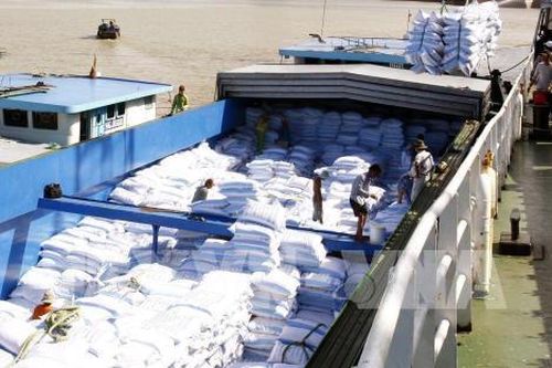 Thị trường nông sản tuần qua: Giá lúa gạo tăng, giá cà phê, tiêu lao dốc