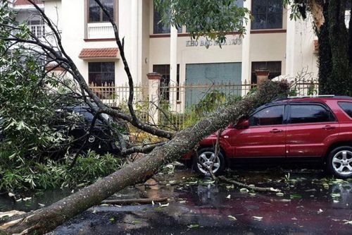 Cách thoát khỏi 6 tình huống nguy hiểm trên xe hơi