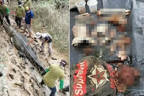 Mất tích 6 ngày, thiếu niên 14 tuổi được tìm thấy trong bụng cá sấu dài 4,7m