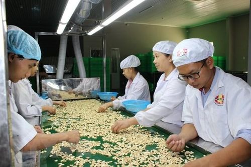 Tận dụng cơ hội từ EVFTA: Chủ động tạo giấy thông hành