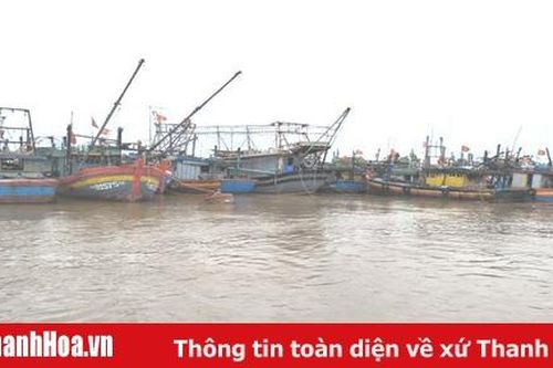 Bộ đội biên phòng yêu cầu ngư dân rời khỏi tàu thuyền để bảo đảm an toàn