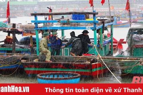 Ban Chỉ huy Biên phòng Cửa khẩu Cảng Nghi Sơn tăng cường các biện pháp phòng chống bão số 2
