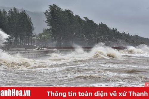 Bão số 2 đổ bộ vào Thanh Hóa gây thiệt hại không đáng kể