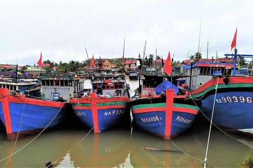 Tàu thuyền ở Thanh Hóa, Nghệ An cập bờ, neo đậu ứng phó bão số 2