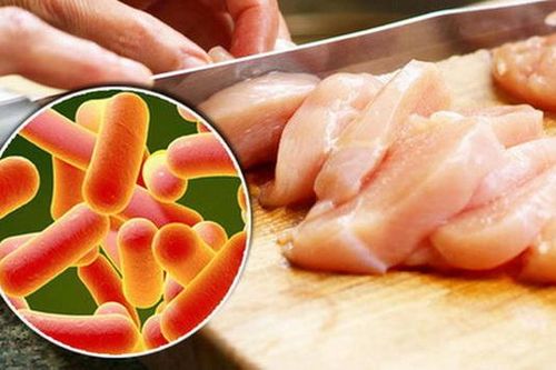 Thận trọng với ngộ độc thức ăn do vi khuẩn