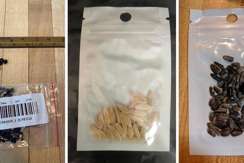 Mỹ xác định được các hạt giống bí ẩn từ TQ 'không mời mà đến'