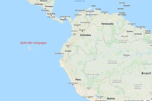 Mỹ lên án tàu cá Trung Quốc đánh bắt 'cướp bóc' ở quần đảo Galapagos